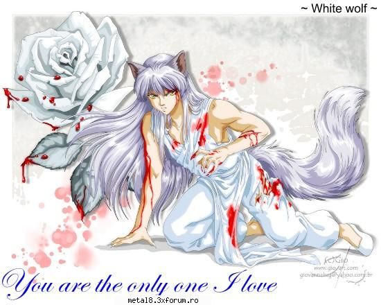 hiei kurama shi poza d'aia kurama doar putzintel modifikta
