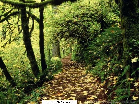 wallpapers natura ultima.