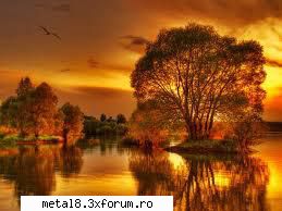 sper sa va placa! wallpapers natura