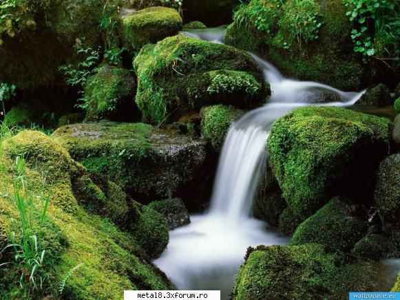 Wallpapers natura - Yuki - Wallpapapers